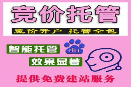 抖音信息流广告在电商行业的应用案例